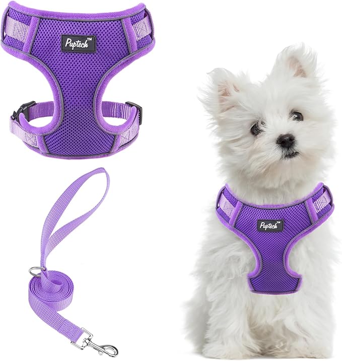 PUPTECK Small Dog Harness and Leash Set, No Pull Adjustable Puppy Cat Harness by PUPTECK