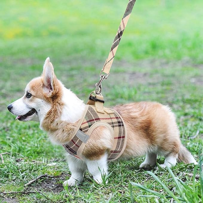 KOOLTAIL Dog Harness and Leash Set - Image 8