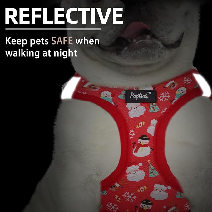 PUPTECK Dog Harness and Leash Set - Image 4