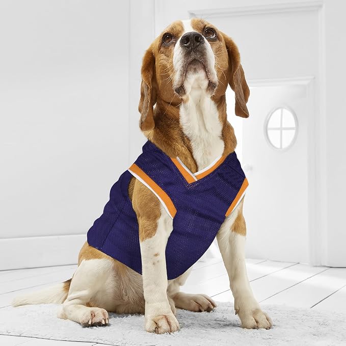 NBA PHOENIX SUNS DOG Jersey, Small - Image 3