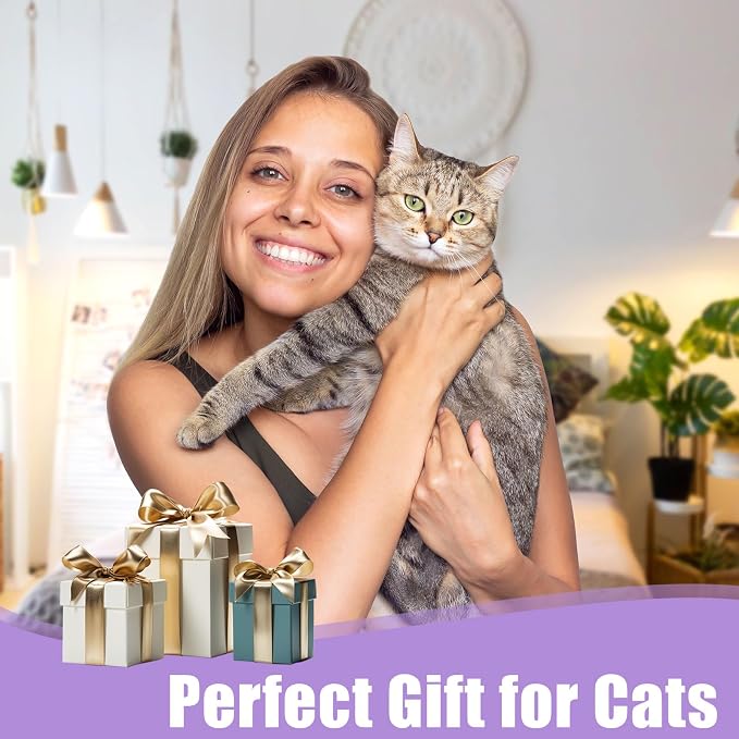 6 Pack Cat Toys, Catnip Toys for Cats, Cat Toys Interactive for Bored Indoor - Image 5
