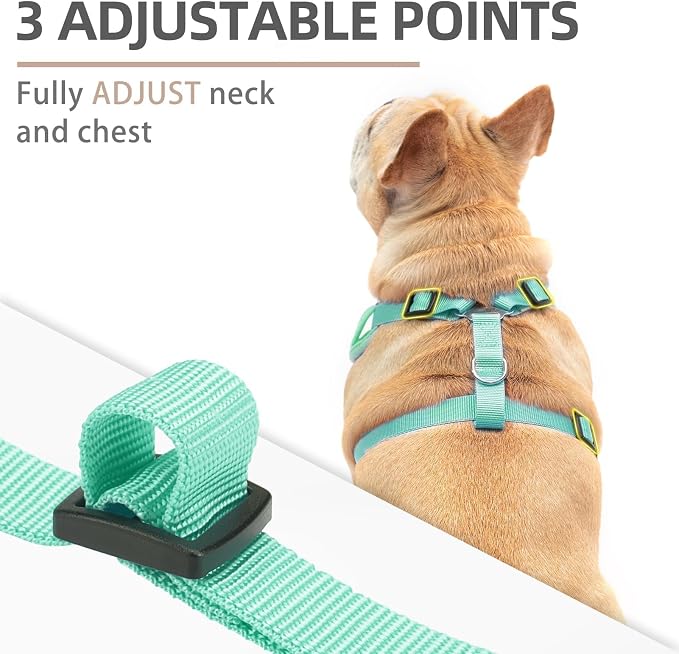 PUPTECK Small Dog Harness and Leash Set, No Pull Adjustable Puppy Cat Harness - Image 2