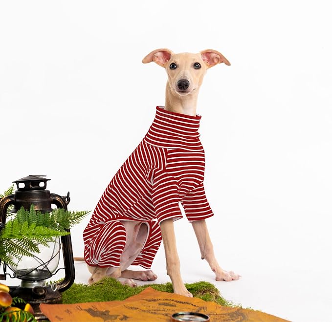 Dog Sweaters for Small Dogs Girls Boys, Striped Pet Sweaters for Fall Winter - Image 3