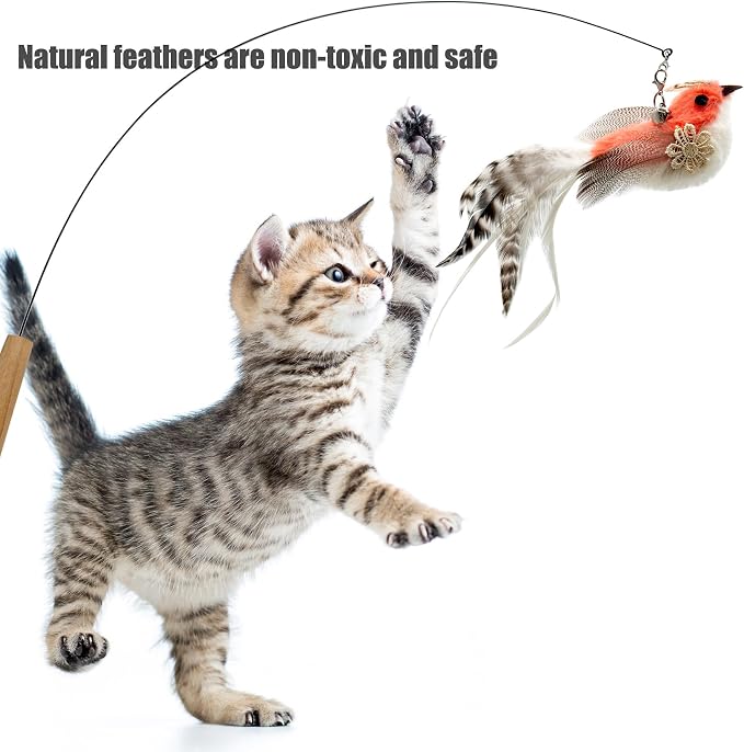 Cat Feather Toys Refill, 5 Pieces Cat Wand Attachments Feathers Bird Toy - Image 2