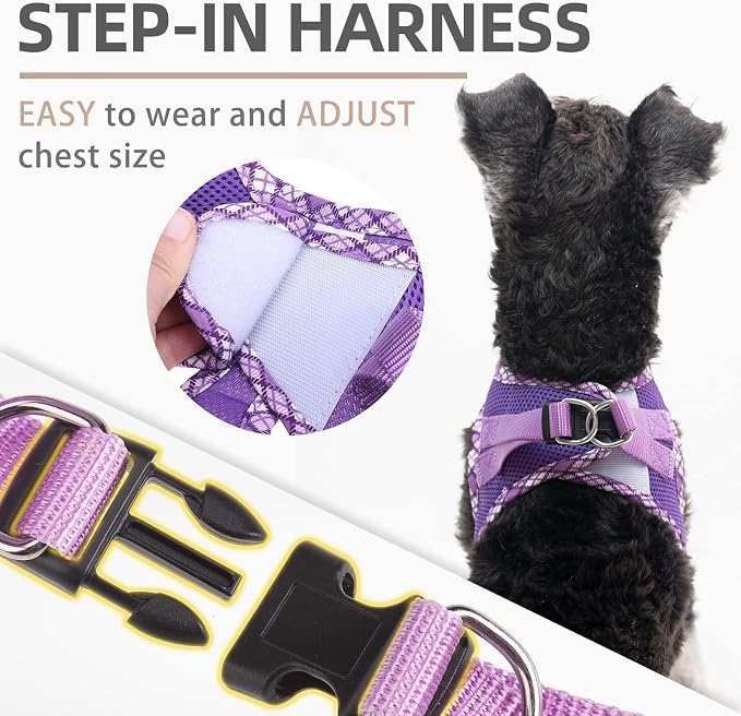 PUPTECK Dog Harness and Leash Set - Image 4
