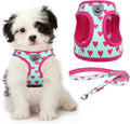 KOOLTAIL Valentines Dog Harness and Leash Set by KOOLTAIL