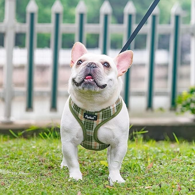 PUPTECK Soft Mesh Dog Harness and Leash Set Pet Puppy Cat Comfort Padded Vest - Image 6