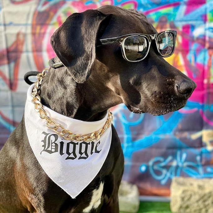 Biggie Matching 90's Hip Hop Dog Bandana - Image 2