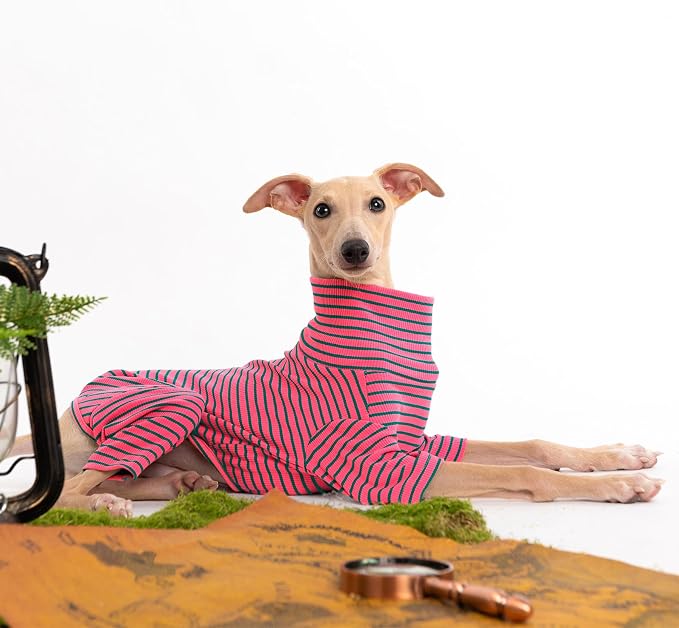 Dog Sweaters for Small Dogs Girls Boys, Striped Pet Sweaters for Fall Winter - Image 4