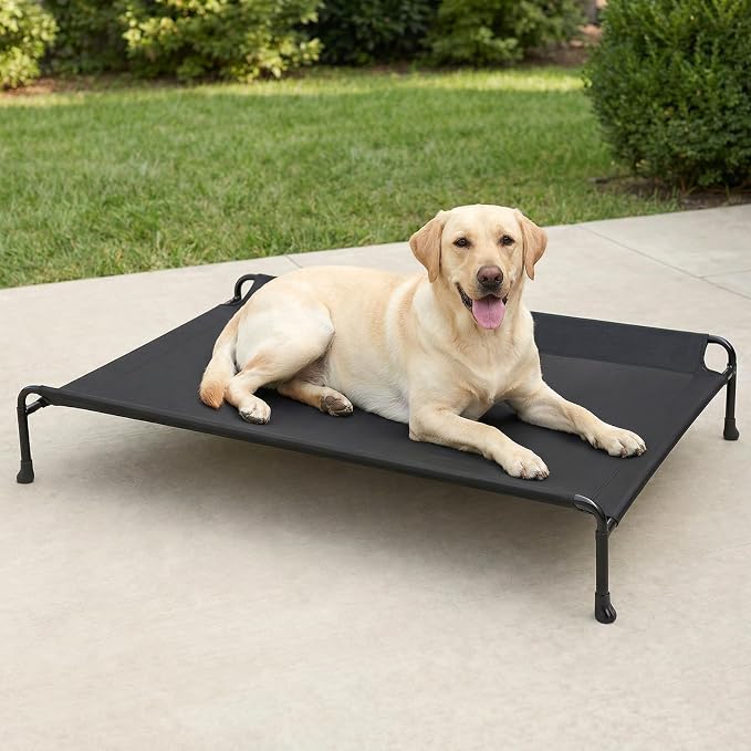 Veehoo Outdoor Elevated Dog Bed by Veehoo