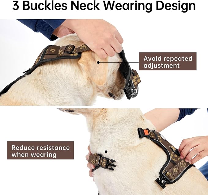 IVY&LANE No Pull Dog Harness - Image 3