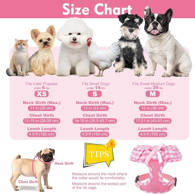 EXPAWLORER Cute Dog Harness and Leash Set - Image 4