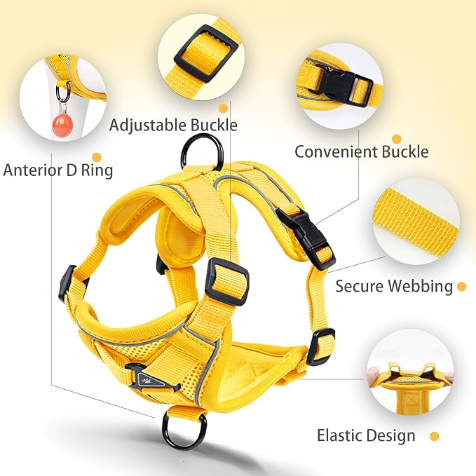 No Pull Dog Harness with Leash Set - Image 4