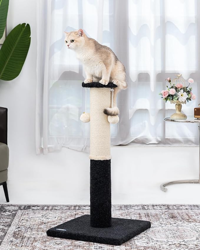 34-Inch Tall Cat Scratching Post - Image 6