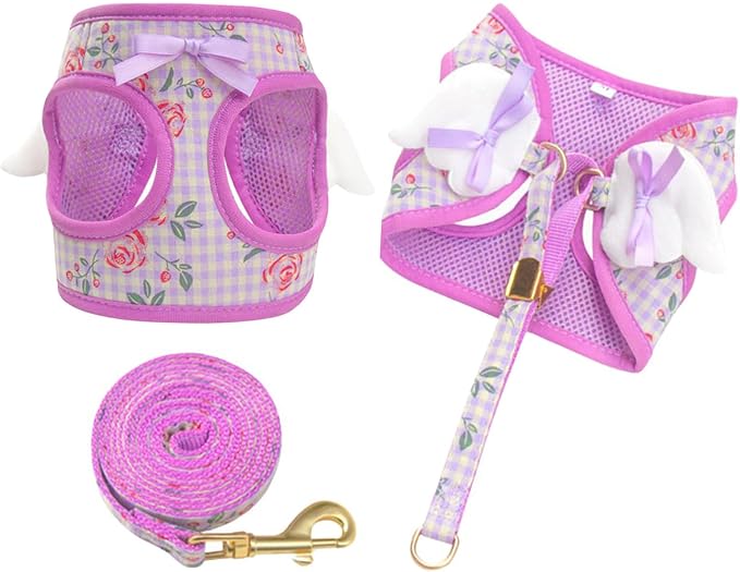 Dog Harness and Leash Set with Angle Wings, Pet Adjustable Mesh Vest Harness by BECHANMIG