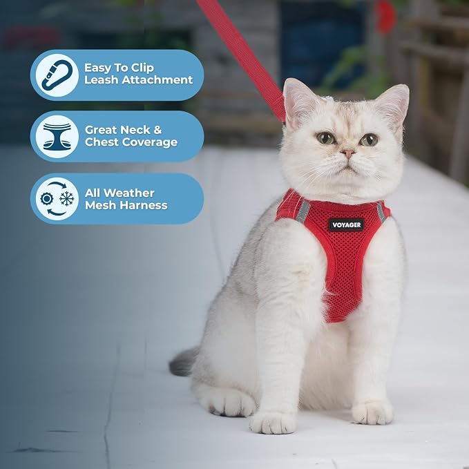 Voyager Step-in Pet Harness - Image 6
