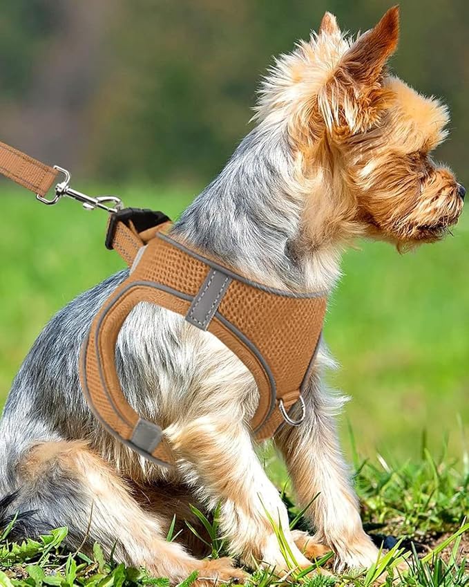 Joytale Small Dog Harness, Breathable Mesh Step-in Vest, Reflective Soft Padded - Image 2