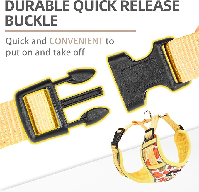 PUPTECK Thanksgiving Fall Small Dog Harness and Leash Set, No Pull Adjustable - Image 4