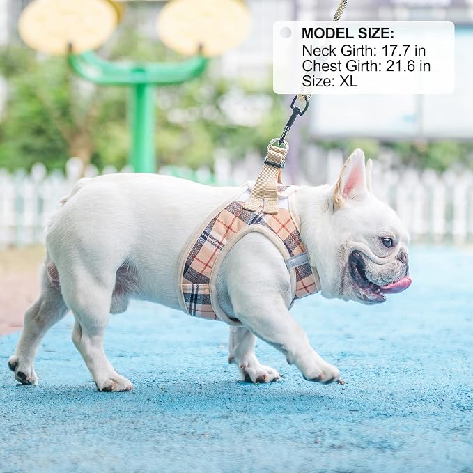 BEAUTYZOO Small Dog Harness and Leash Set, Step in No Choke No Pull Soft Mesh - Image 8