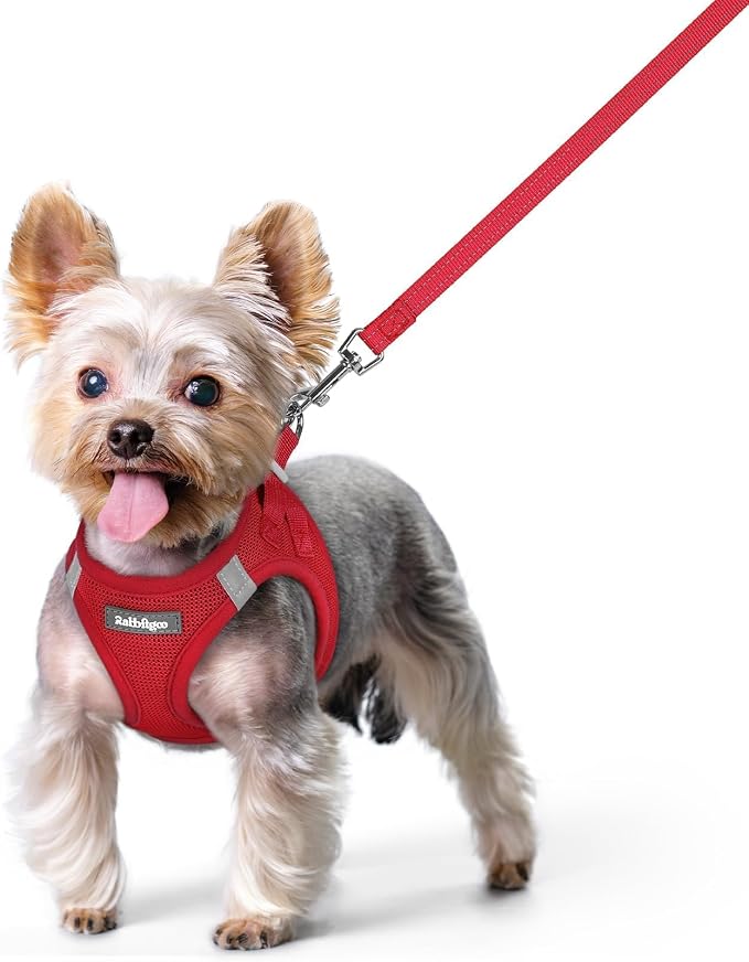 rabbitgoo Dog Harness Small Sized and Leash Set, Step in Soft Light Puppy Vest by rabbitgoo