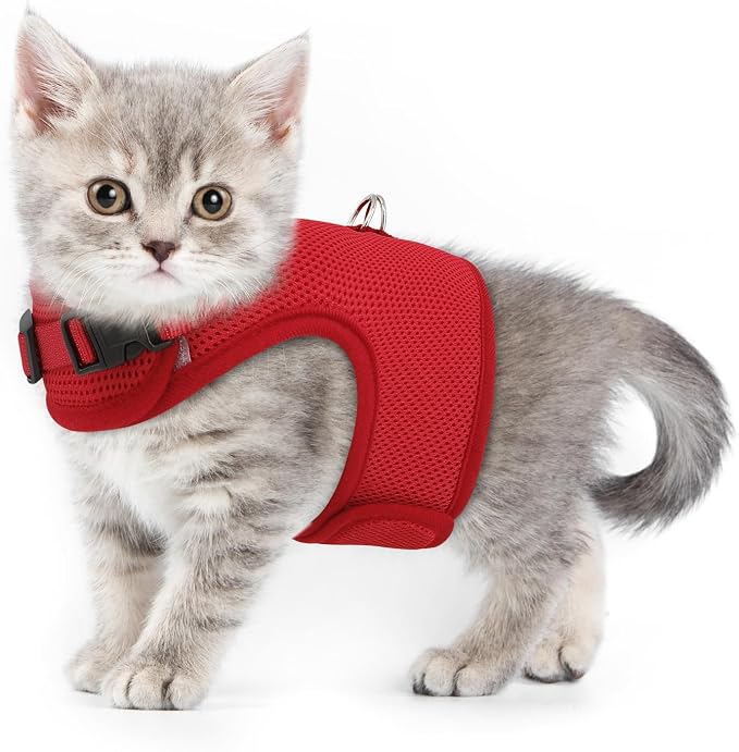 MoNiBloom Soft Cat Harness for Walking Escape Proof and Travel, Kitten by Monibloom