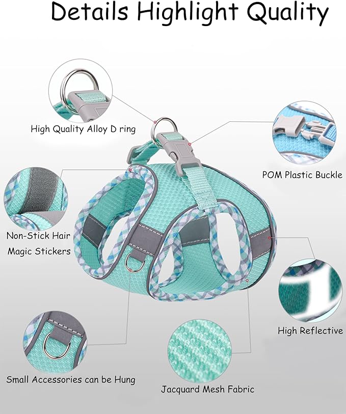 Petank Dog Harness for Small Medium Dogs No Pull, Puppy Harness and Leash Set - Image 3