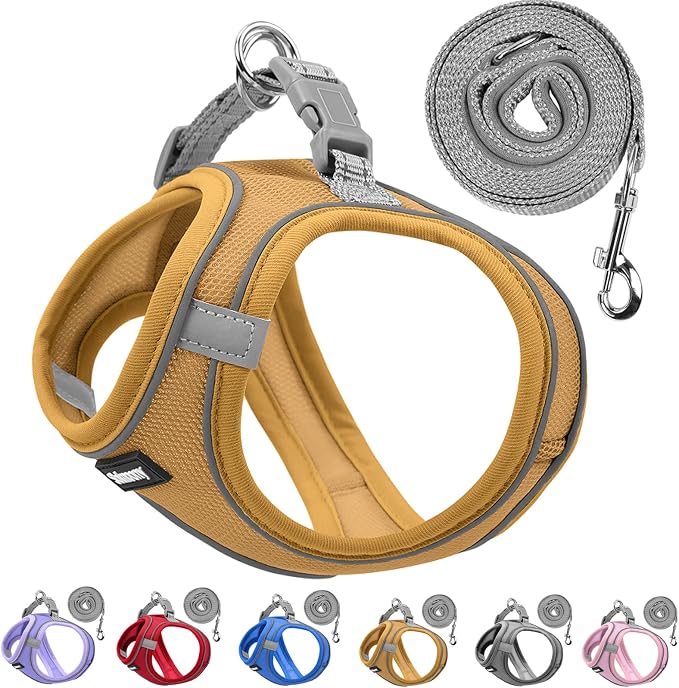 Solmoony Sparkly Medium Dog Harness and Leash Set, Step in Soft Light Puppy Vest by SOLMOONY