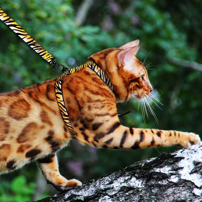 Cat Harness and Leash Escape Proof, Adjustable Soft Kitten Leash - Image 7