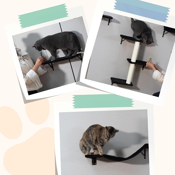 COZIWOW Cat Wall Shelves Set, 5-Piece Wall Mounted Cat Furniture - Image 9