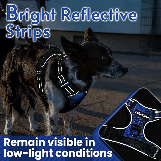 rabbitgoo Dog Harness No Pull - Image 7