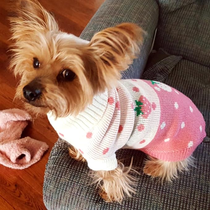 CHBORCHICEN Pet Dog Sweaters Classic Knitwear Turtleneck Winter Warm Puppy - Image 2