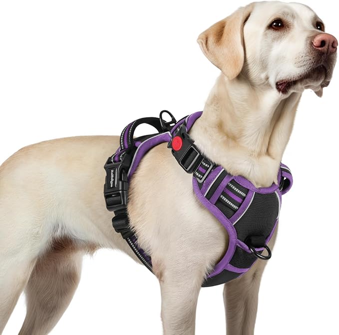 rabbitgoo Dog Harness for Large, No Pull Pet Harness by rabbitgoo