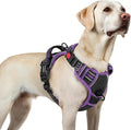 rabbitgoo Dog Harness for Large, No Pull Pet Harness by rabbitgoo