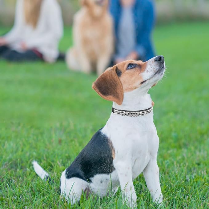 PUPTECK Basic Adjustable Cat Collar - Image 7