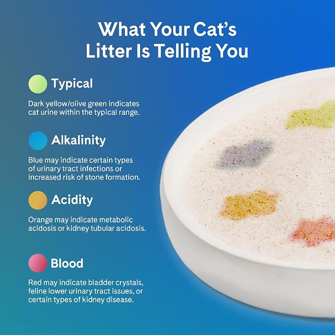 PrettyLitter Health Monitoring Cat Litter | Lightweight & Low Tracking - Image 6