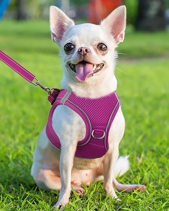 Joytale Small Dog Harness, Breathable Mesh Step-in Vest, Reflective Soft Padded - Image 2
