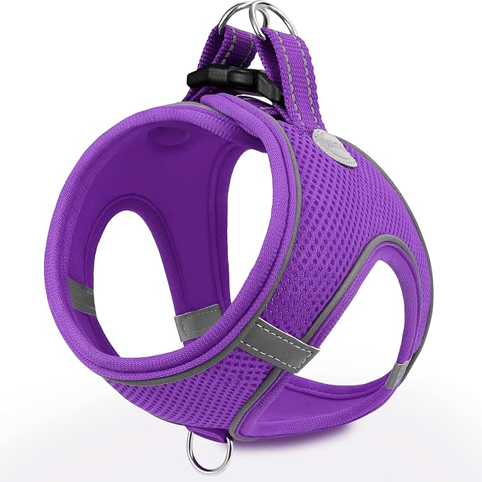 Joytale Small Dog Harness, Breathable Mesh Step-in Vest, Reflective Soft Padded by Joytale