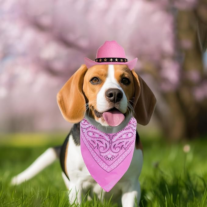 choyaxo Halloween Costumes for Dogs Cat Pet Cowboy Costume Cowboy Hat - Image 6