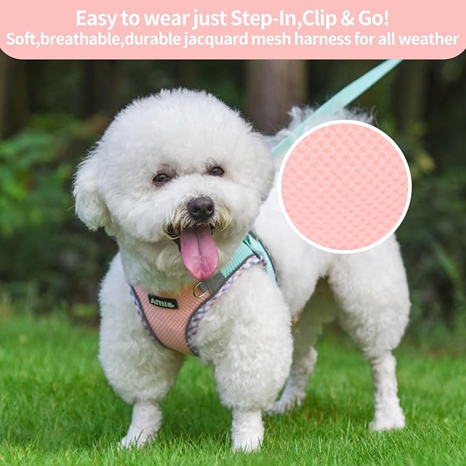 AIITLE Teacup Puppy Harness - Image 6