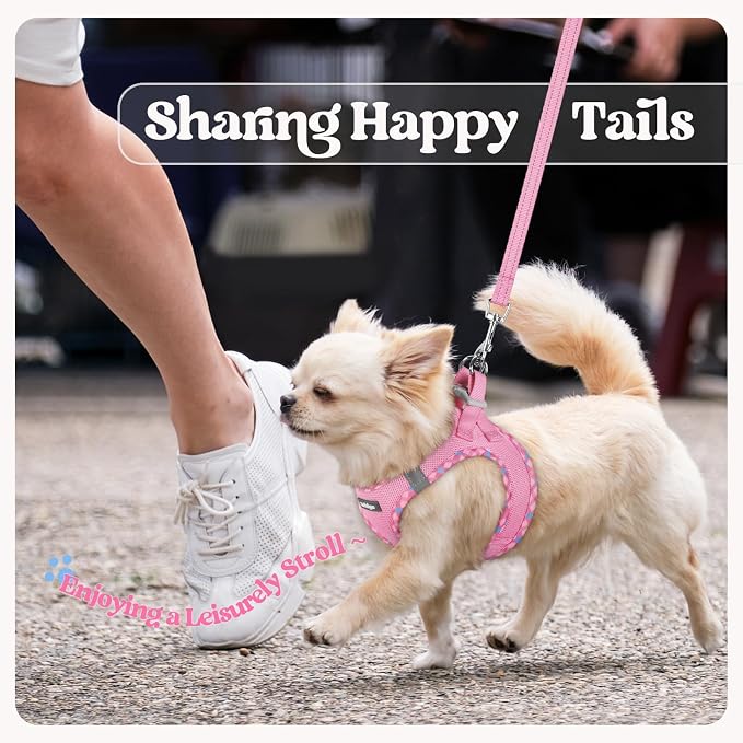 rabbitgoo Dog Harness Small Sized and Leash Set, Step in Soft Light Puppy Vest - Image 9