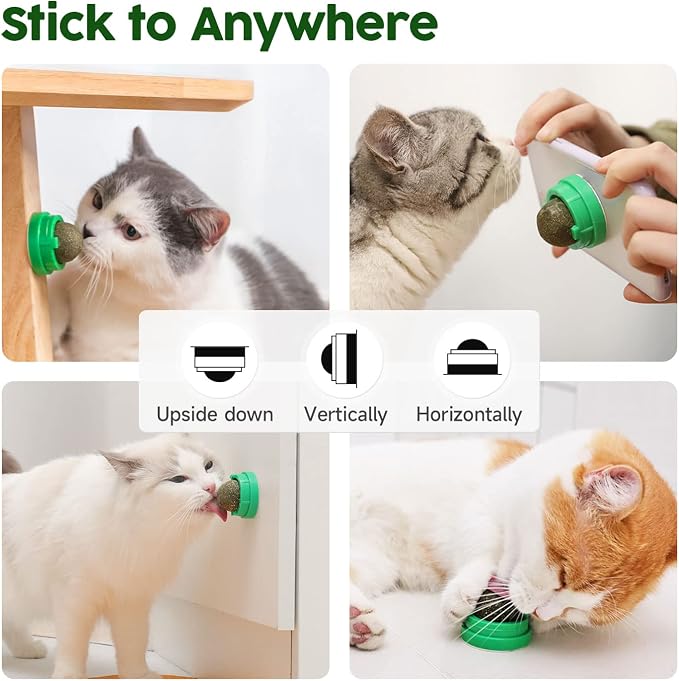 Potaroma Catnip Toys Balls 4 Pcs, Extra Cat Energy Ball, Edible Kitten - Image 6
