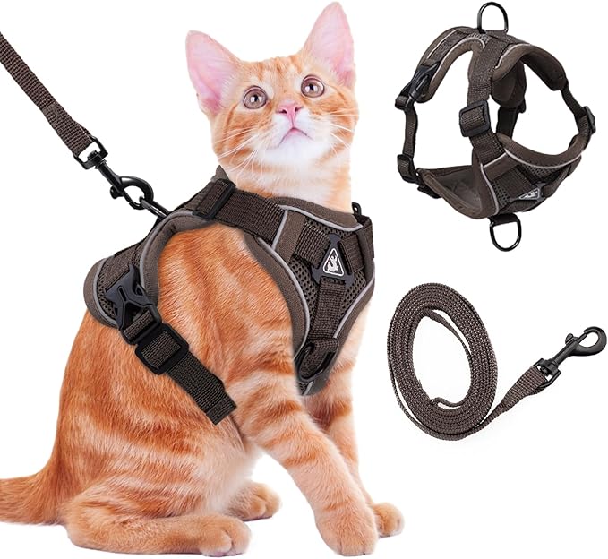 Cat Harness and Leash for Walking Soft Cat Harness Escape Proof, Adjustable by Coppthinktu
