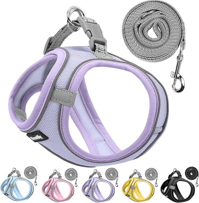 Sparkly Dog Harness Small Sized and Leash Set by Unknown
