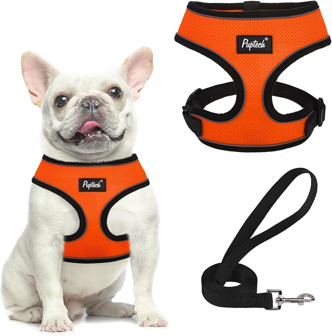 PUPTECK Soft Mesh Dog Harness and Leash Set Pet Puppy Cat Comfort Padded Vest by PUPTECK