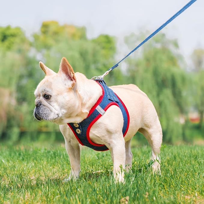 PUPTECK Dog Harness and Leash Set - Image 2