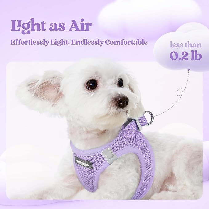 rabbitgoo Dog Harness Small Medium Sized and Leash Set, Step in Soft Light - Image 3