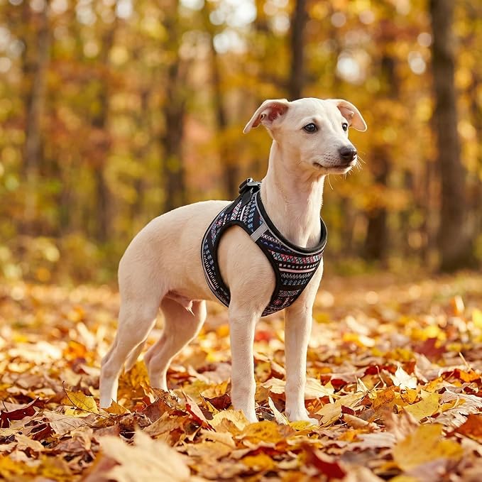 Step in Dog Harness and Leash Set, Reflective Adjustable No Pull Dog Harness - Image 4