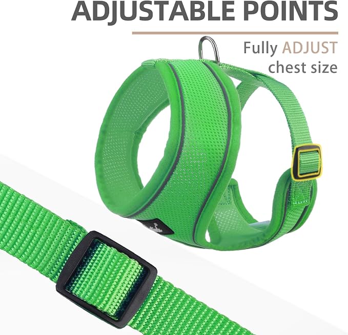 PUPTECK Soft Mesh Dog Harness and Leash Set Pet Puppy Cat Comfort Padded Vest - Image 3