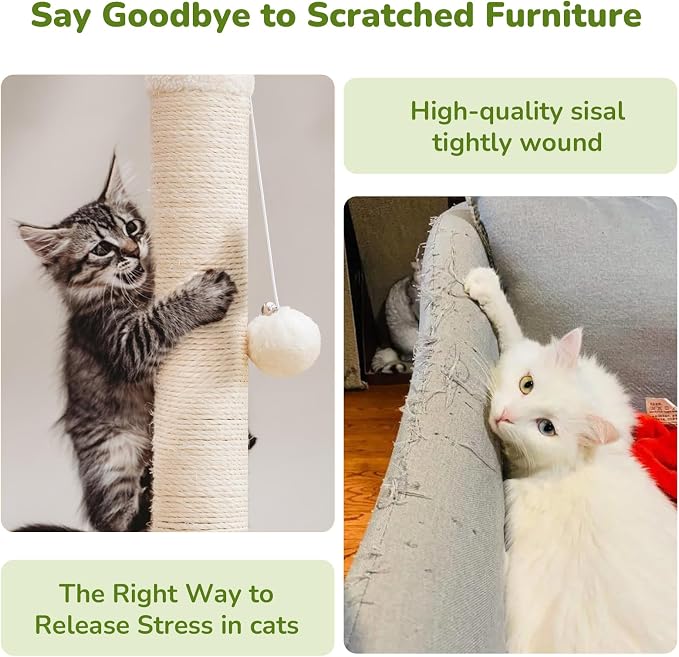 Cat Scratching Post for Kitten, 23in Tall Cute Small Cat Scratching Post - Image 5