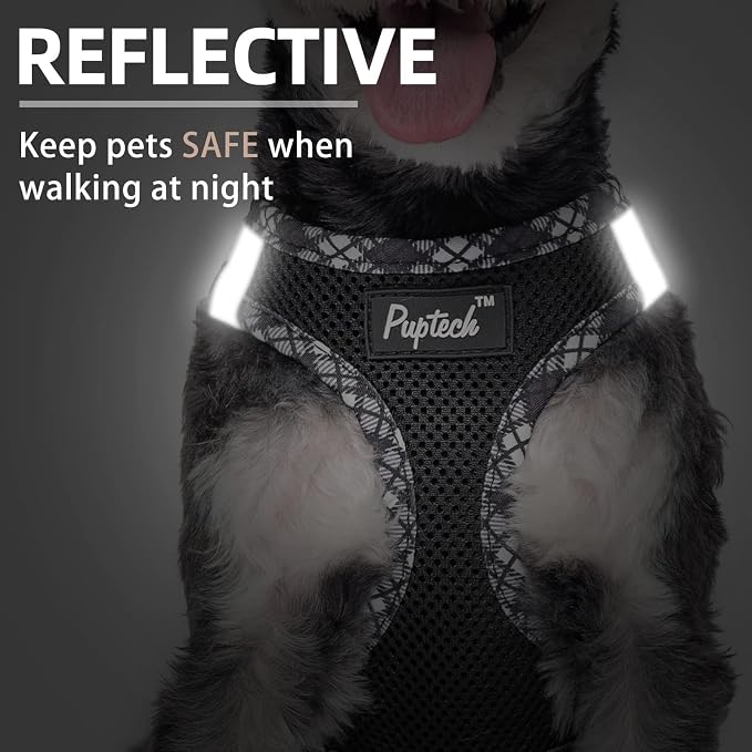 PUPTECK Dog Harness and Leash Set - Image 5